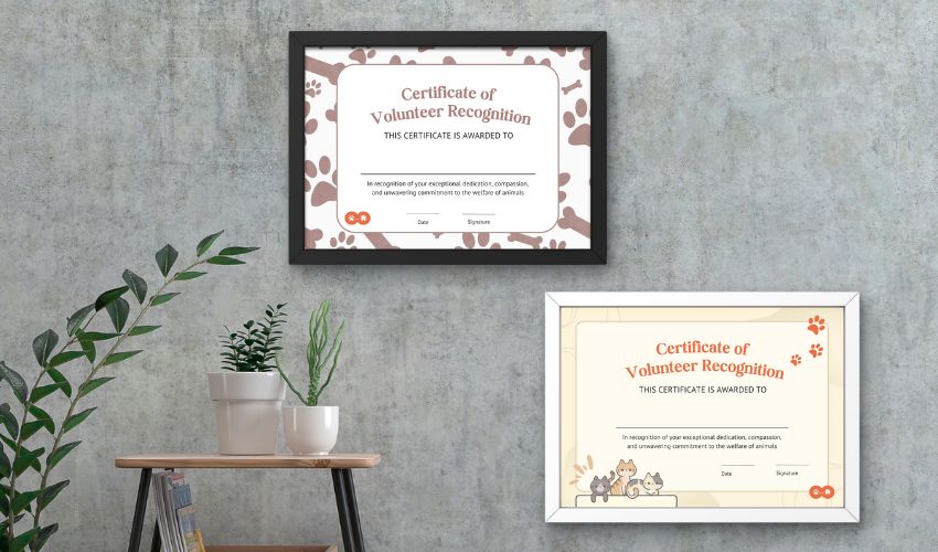 Celebrating the Unsung Heroes: Creative Ways to Recognize and Appreciate Animal Rescue Volunteers