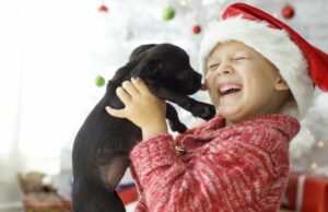 Celebrating Foster Families During the Holidays