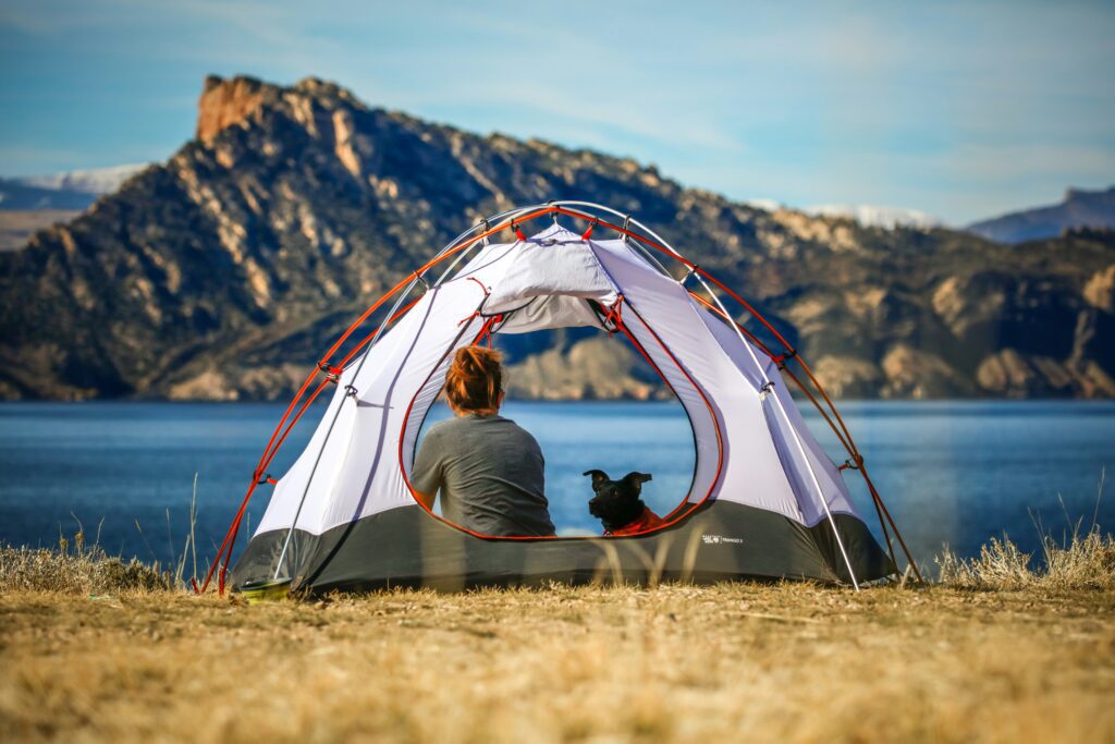 Bark & Backpack: The Ultimate Guide to Essential Dog Camping