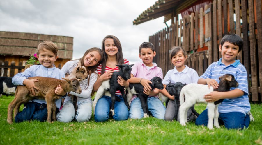 Youth in Rescue: Inspiring the Next Generation of Animal Advocates