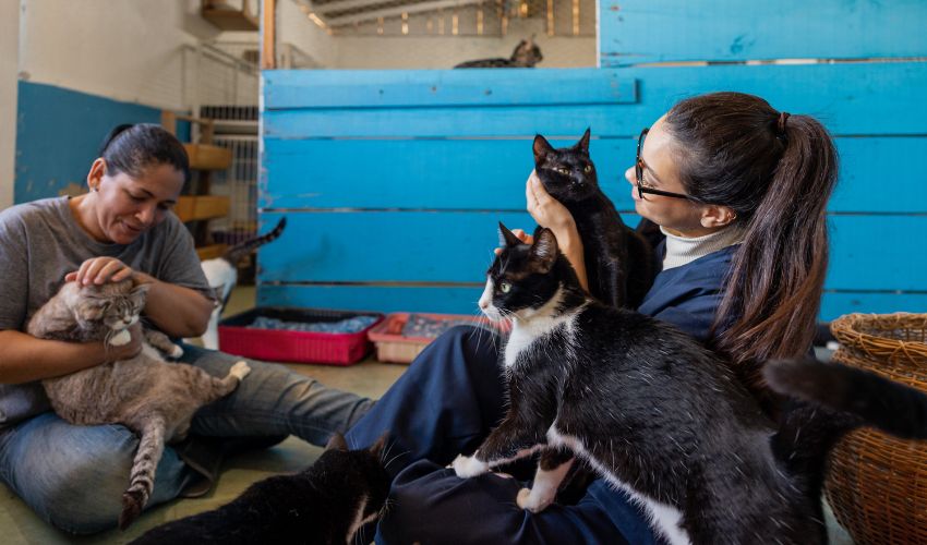 Animal Welfare Trends to Watch in 2025
