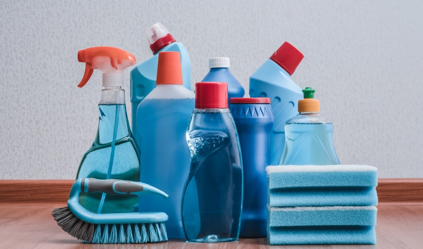 Spring Cleaning When You Have Pets