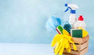 Spring Cleaning When You Have Pets