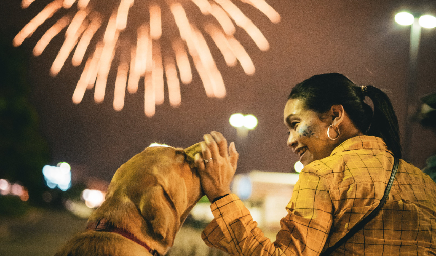 Post-Fireworks Fallout_ Helping Pets Recover from Noise Anxiety (2)