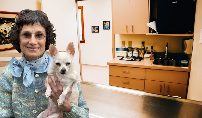 Post-Fireworks Fallout_ Helping Pets Recover from Noise Anxiety (2)