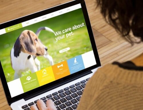 How to Find Your Website Sitemap (No Tech Skills Required!)