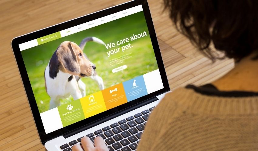 How to Find Your Sitemap