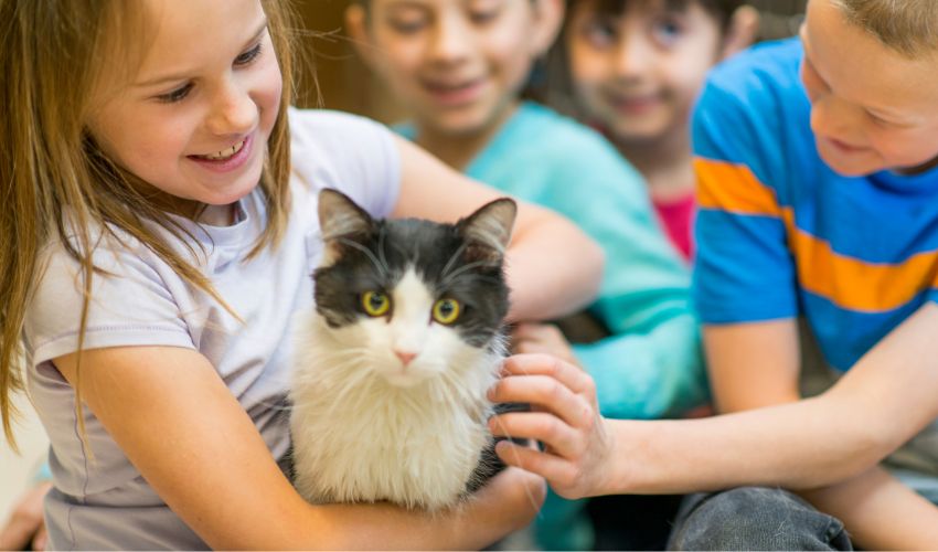 How to Run a “Thanks for Giving” Adoption Event That Actually Works