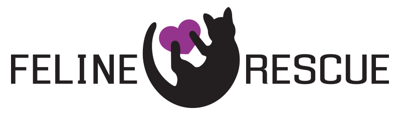 Feline-Rescue
