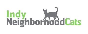 Indy-Neighborhood-Cats
