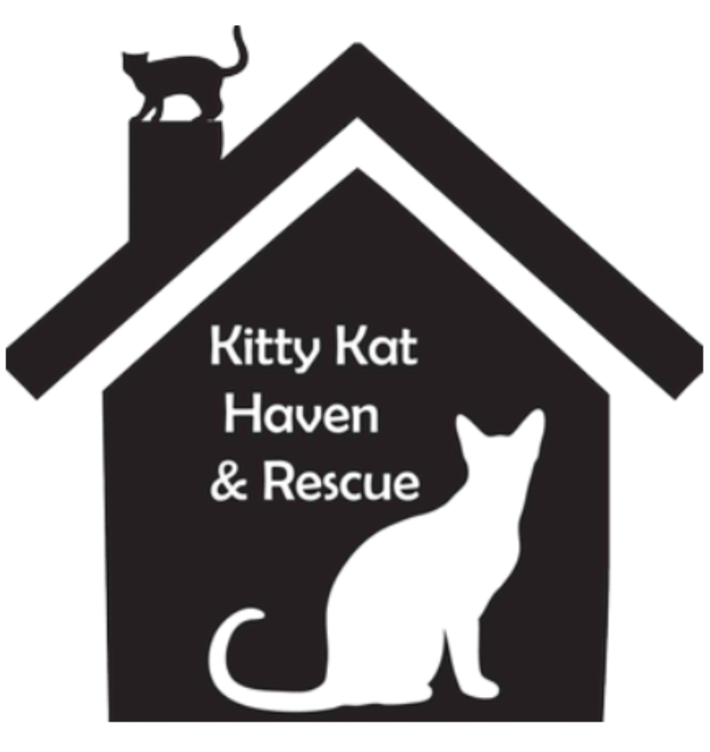 Kitty-Kat-Haven-Rescue