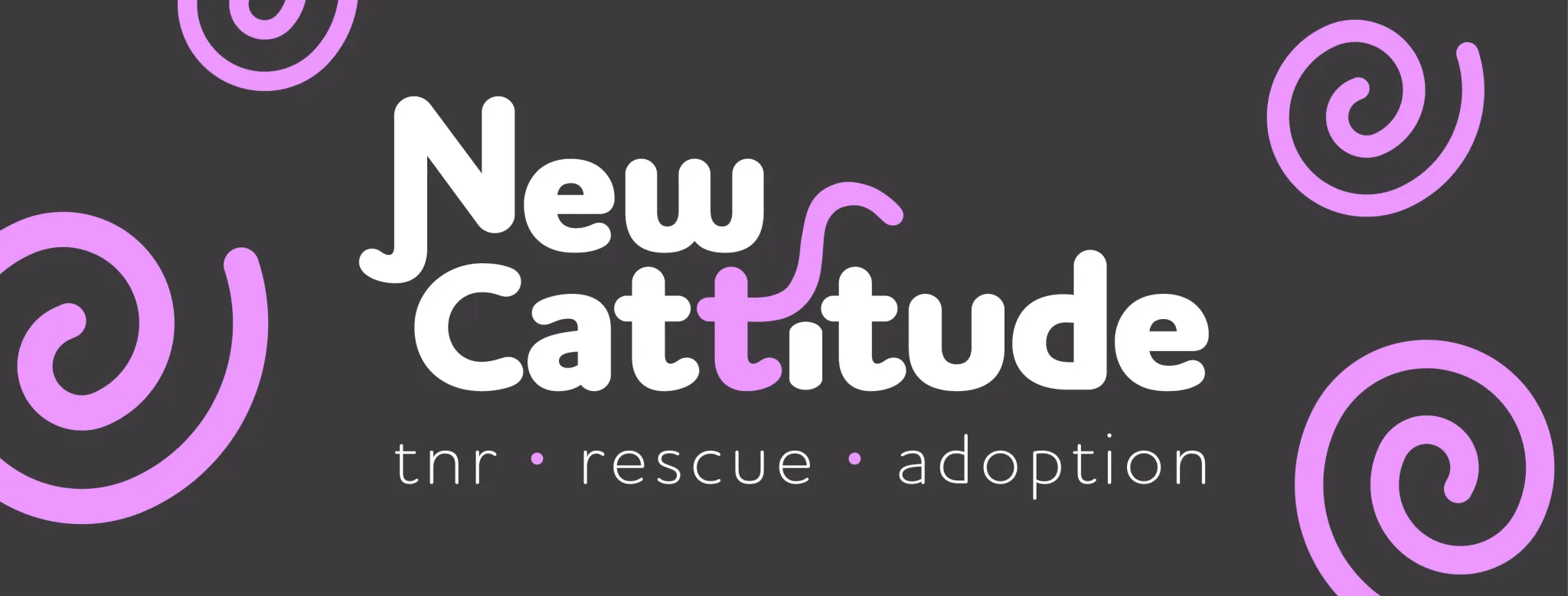 New-Cattitude