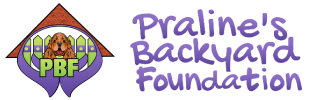 Praline_s-Backyard-Foundation
