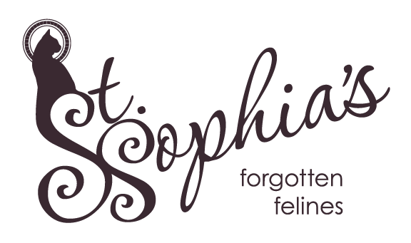 St.-Sophia_s-Forgotten-Felines