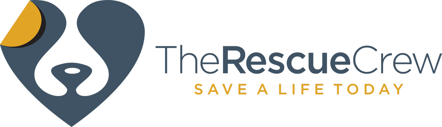 The-Rescue-Crew
